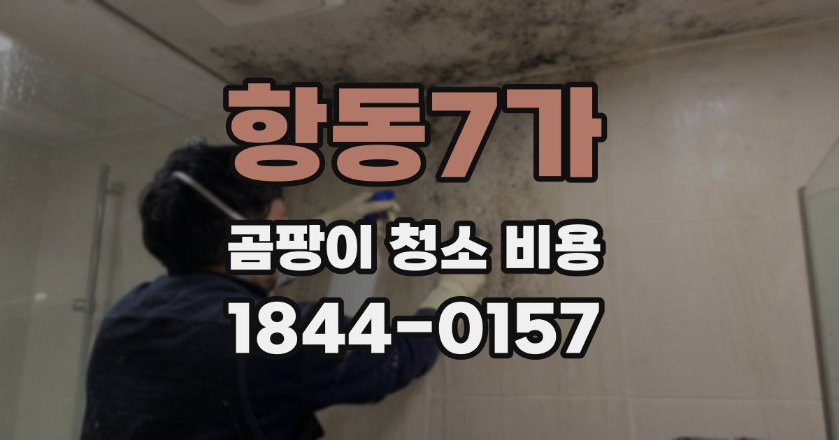 항동7가 곰팡이 청소 비용