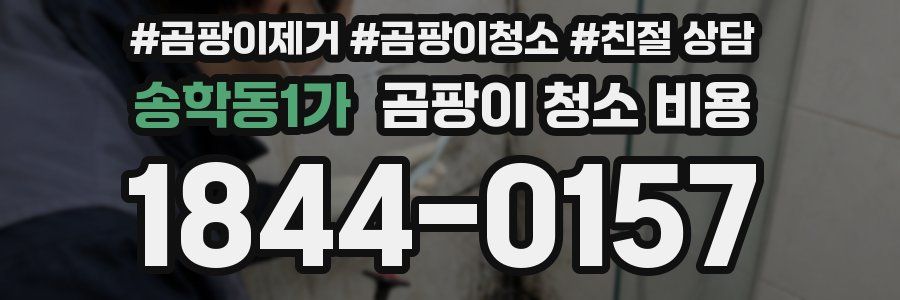 송학동1가 곰팡이 청소 비용