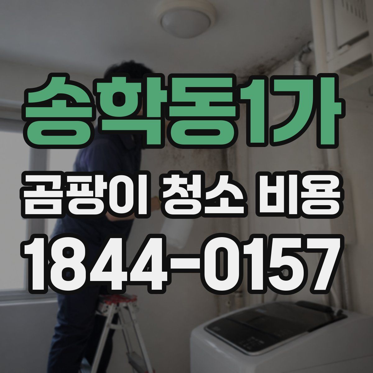 송학동1가 곰팡이 청소 비용