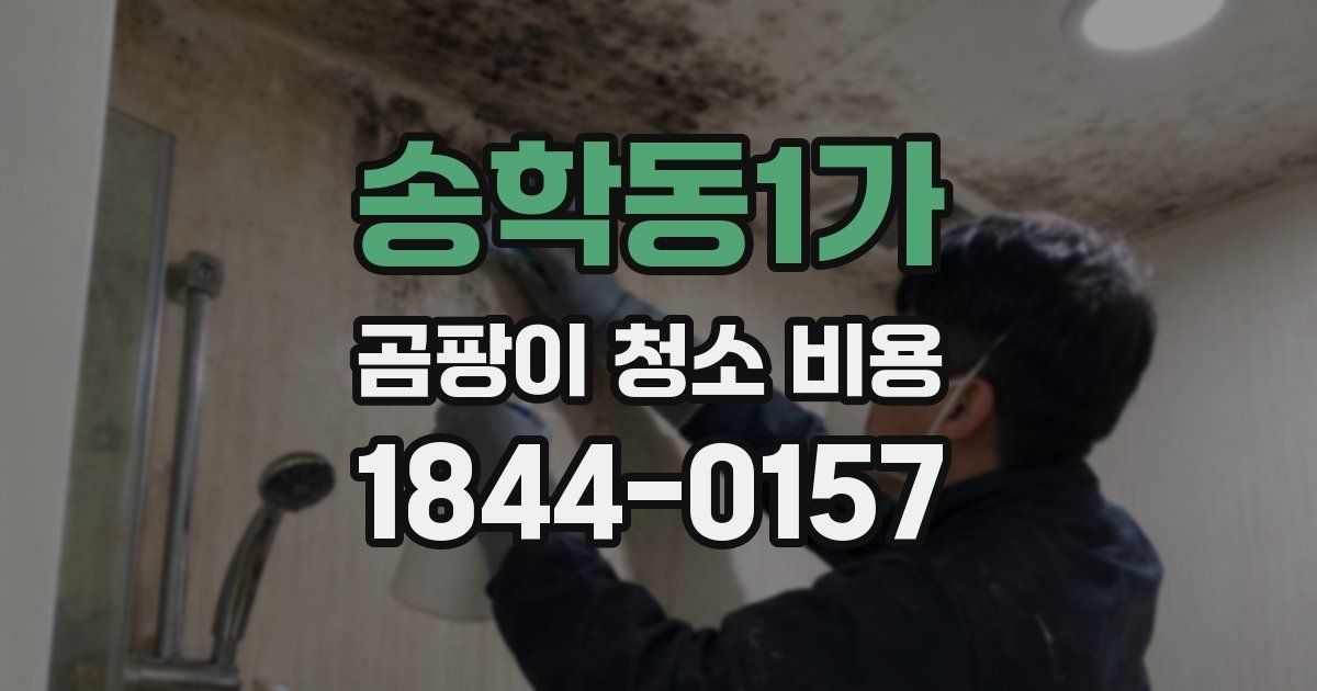 송학동1가 곰팡이 청소 비용