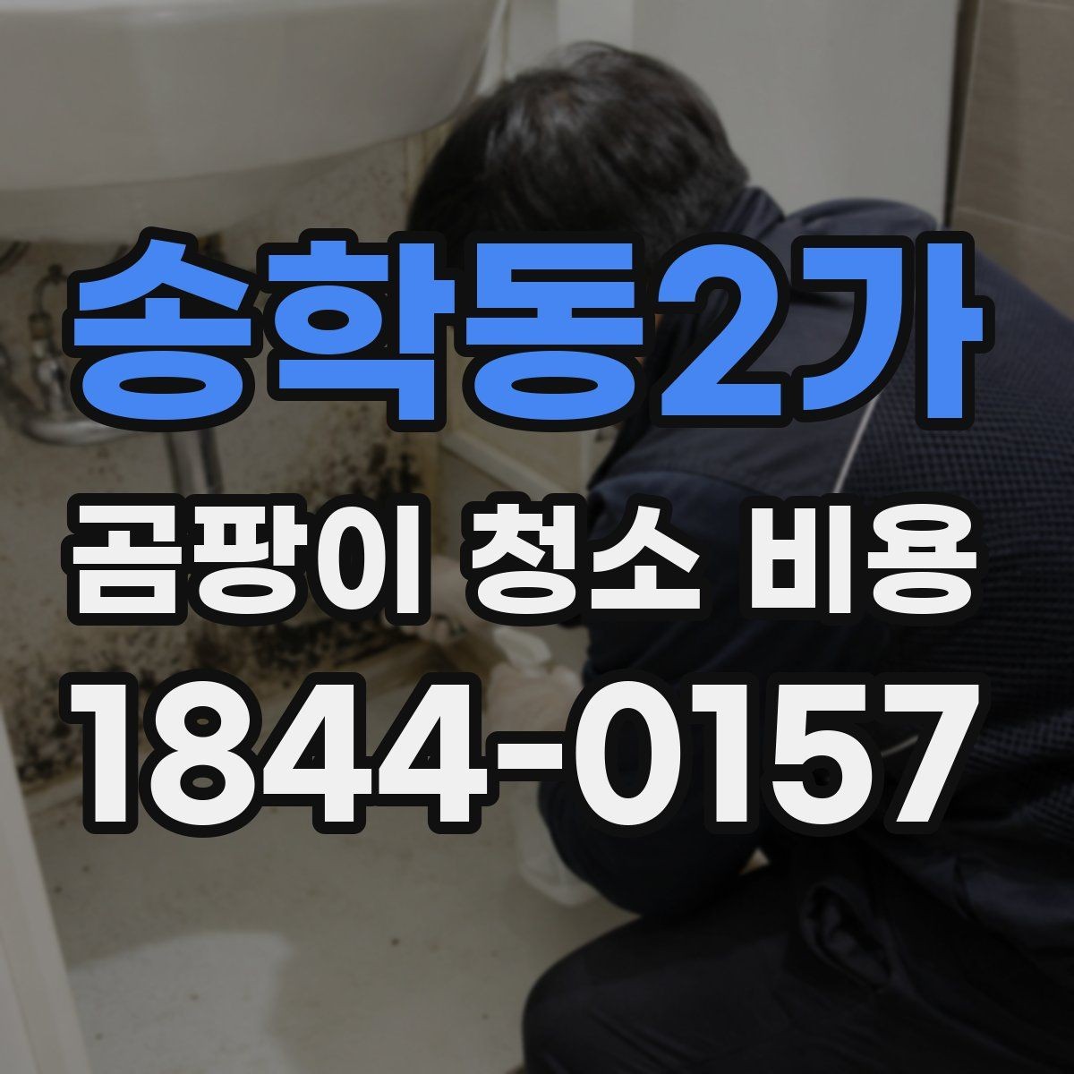 송학동2가 곰팡이 청소 비용 문의 후 작업 전 확인사항