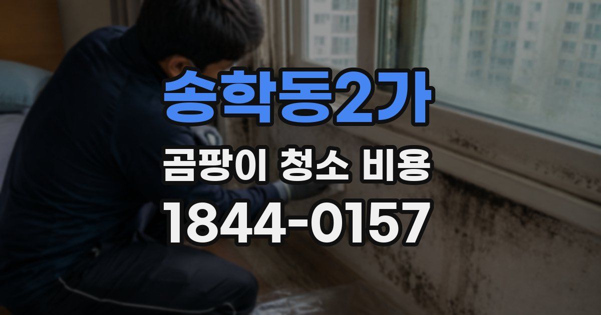 송학동2가 곰팡이 청소 비용