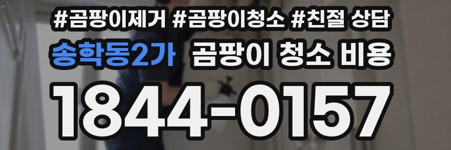 송학동2가 곰팡이 청소 비용