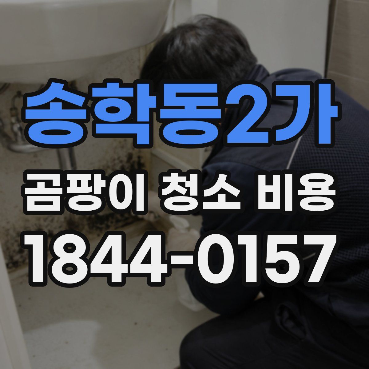 송학동2가 곰팡이 청소 비용