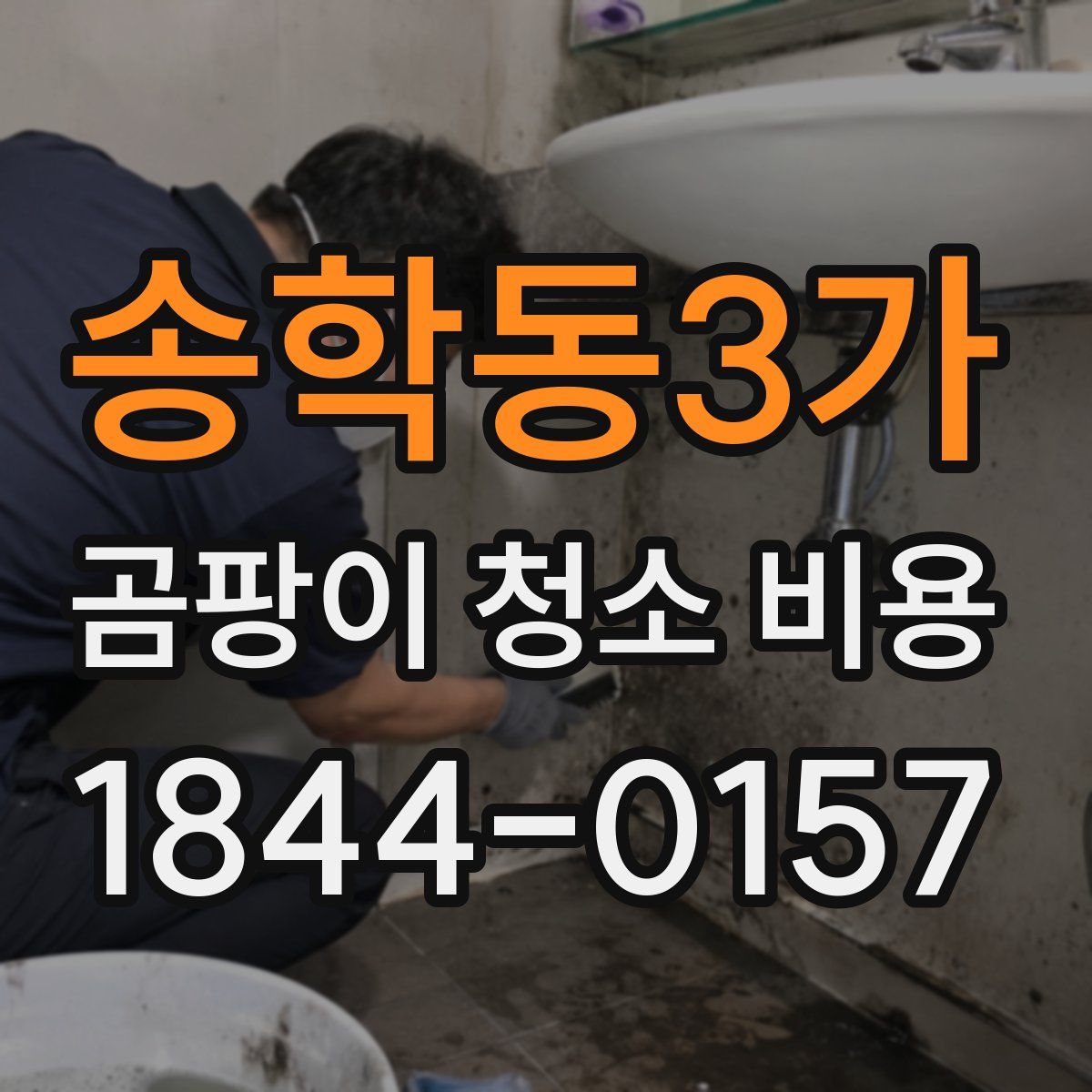 송학동3가 곰팡이 청소 비용