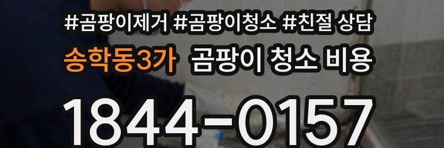 송학동3가 곰팡이 청소 비용