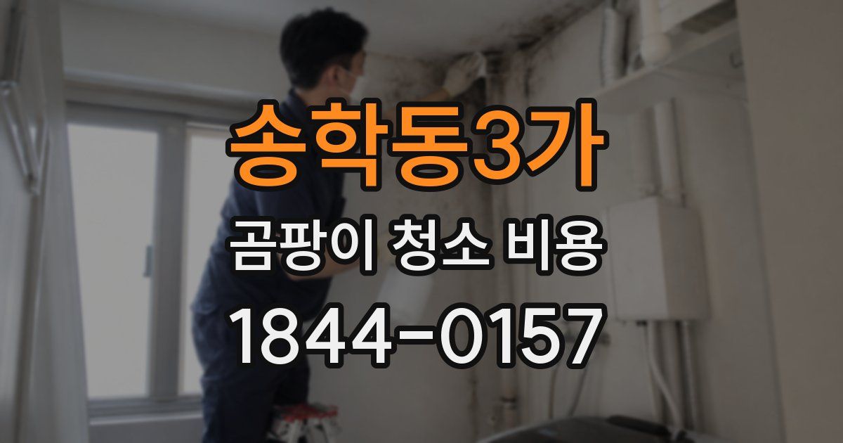 송학동3가 곰팡이 청소 비용