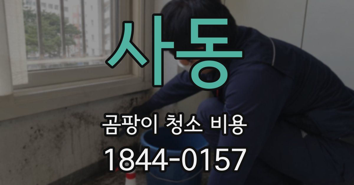 사동 곰팡이 청소 비용