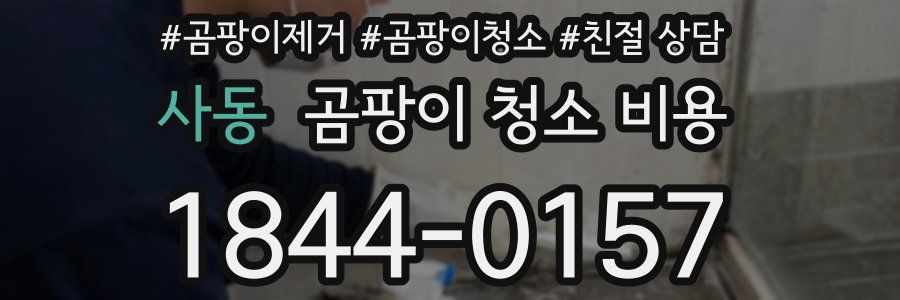 사동 곰팡이 청소 비용
