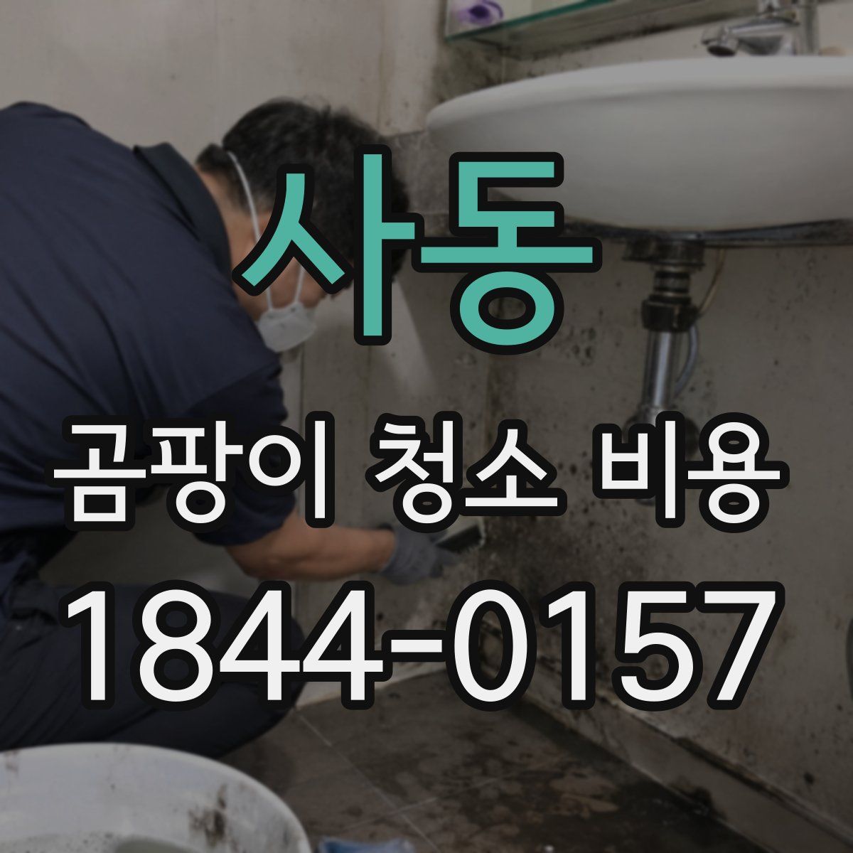 사동 곰팡이 청소 비용