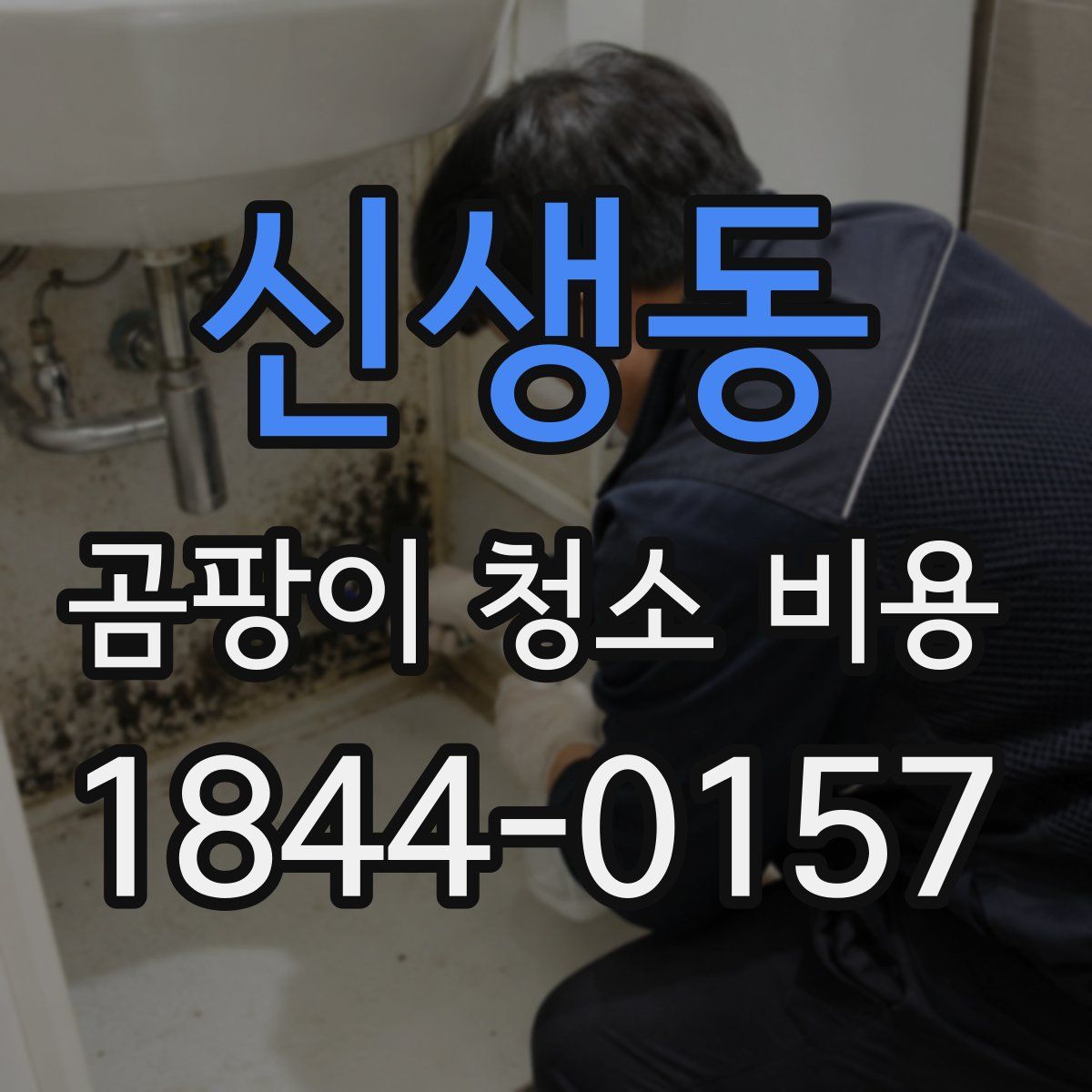 신생동 곰팡이 청소 비용