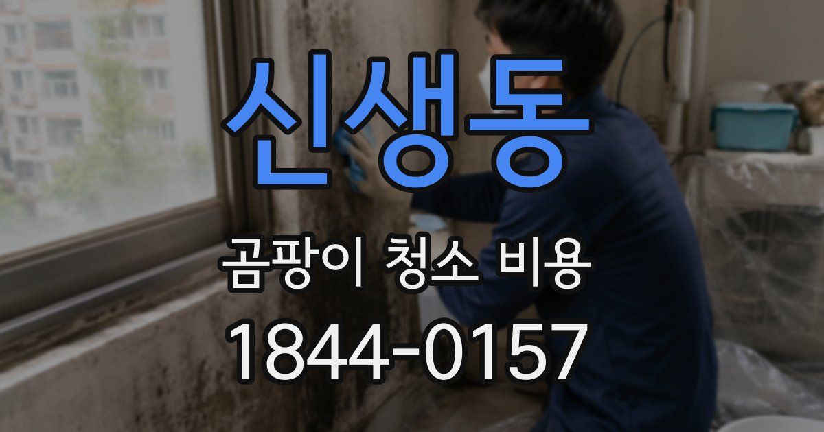 신생동 곰팡이 청소 비용