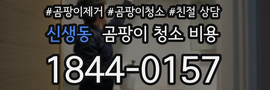 신생동 곰팡이 청소 비용