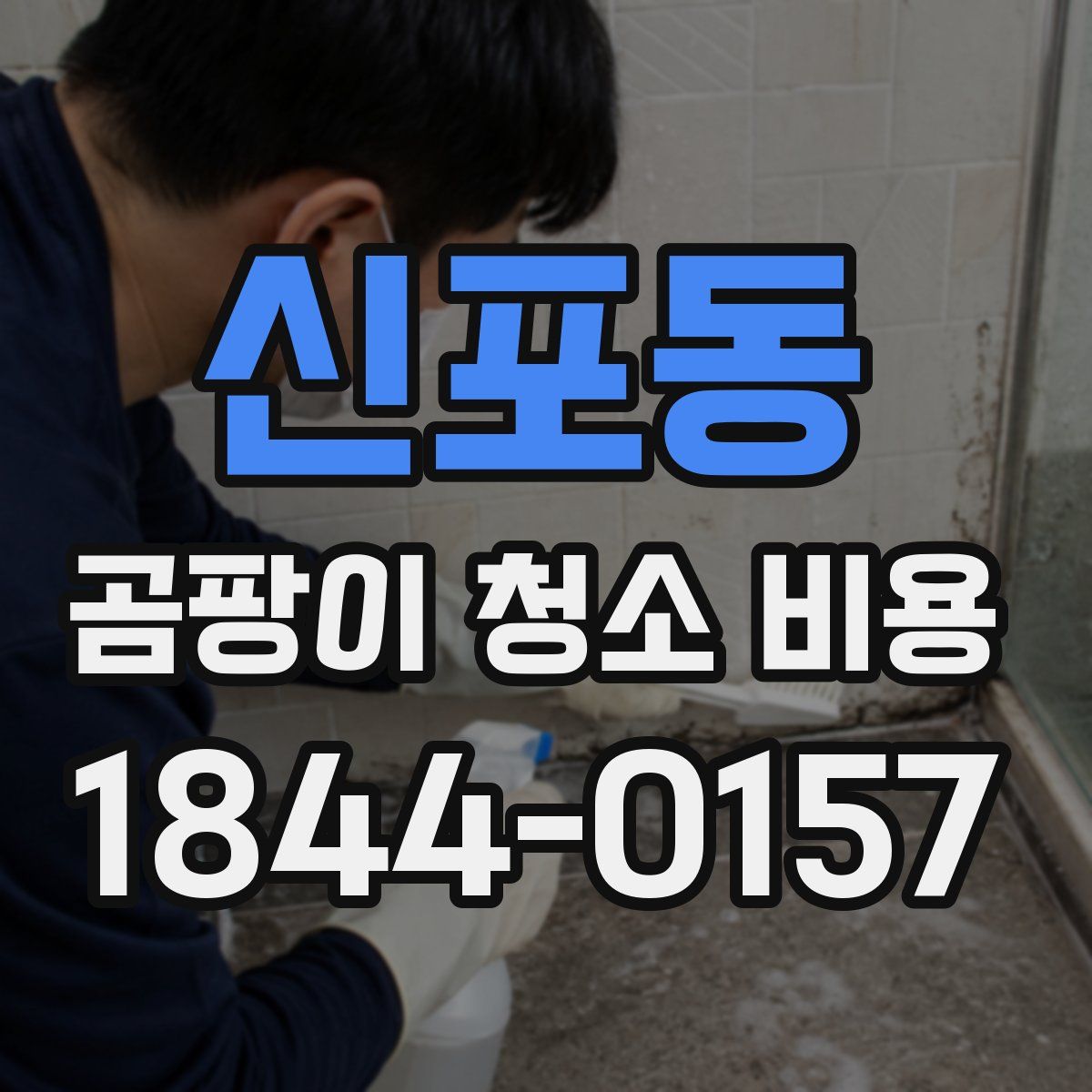 신포동 곰팡이 청소 비용
