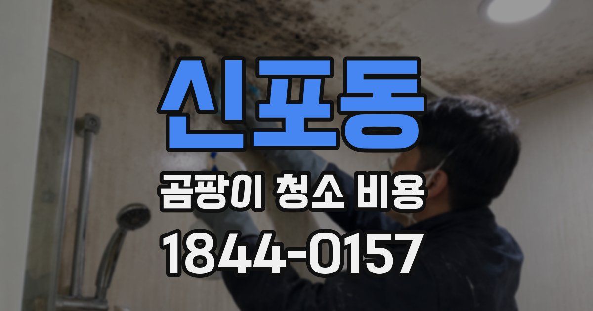 신포동 곰팡이 청소 비용