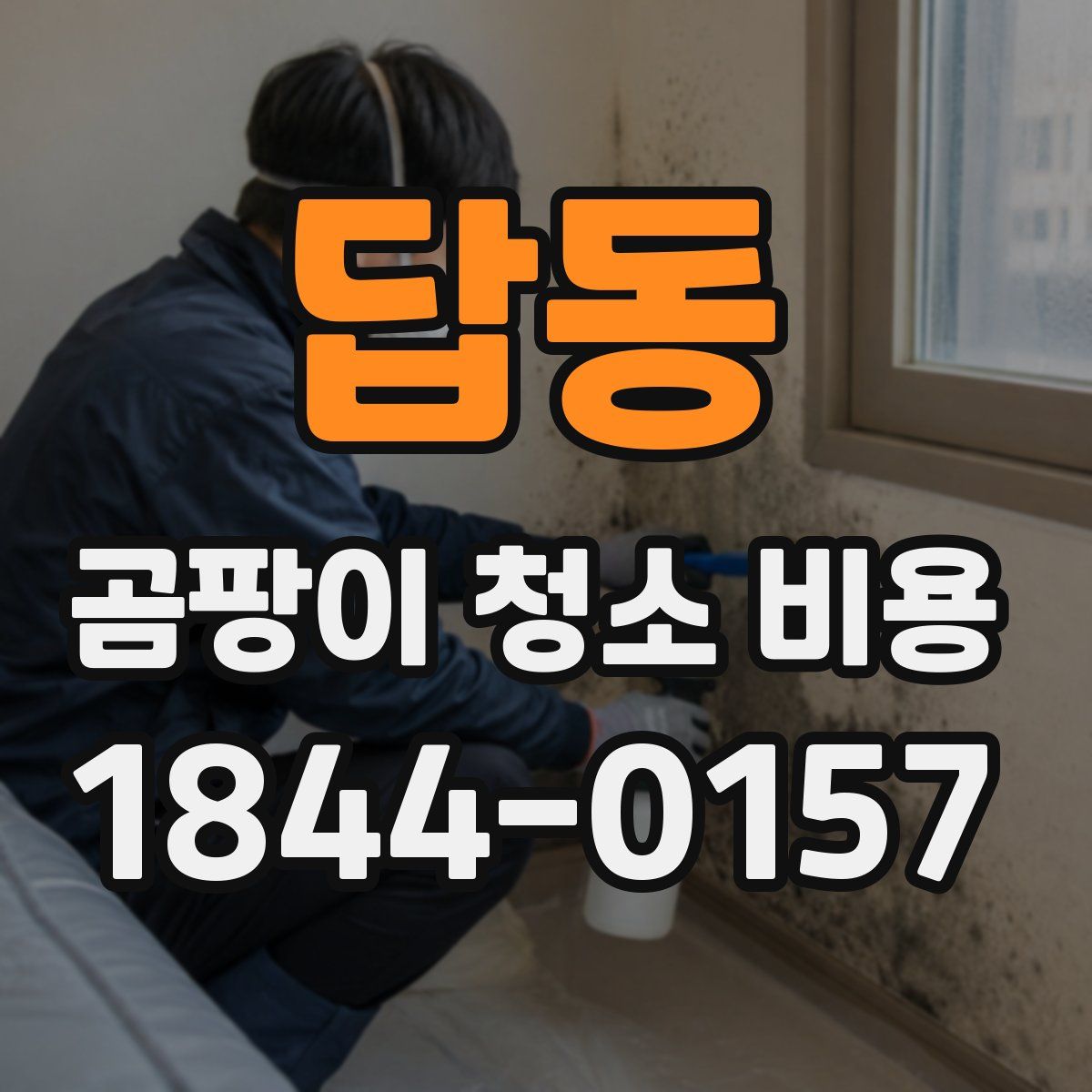 답동 곰팡이 청소 비용