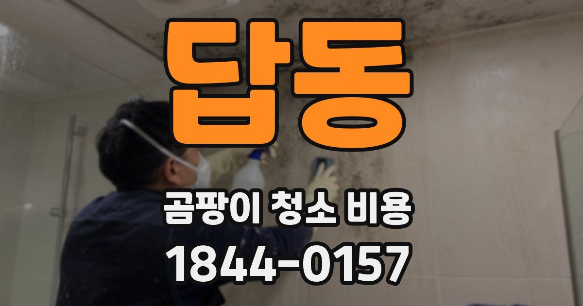 답동 곰팡이 청소 비용
