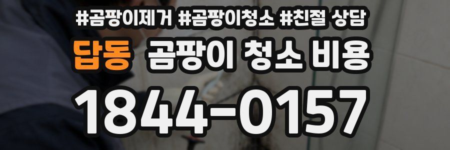 답동 곰팡이 청소 비용