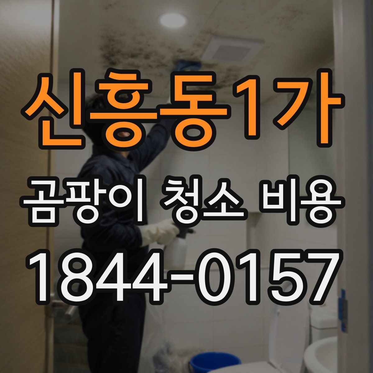 신흥동1가 곰팡이 청소 비용