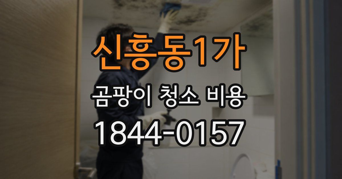 신흥동1가 곰팡이 청소 비용