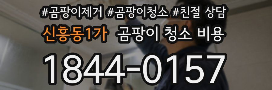 신흥동1가 곰팡이 청소 비용