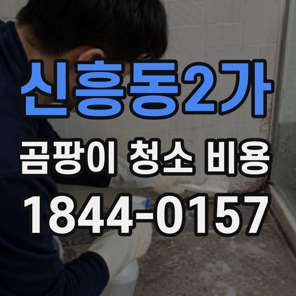 신흥동2가 곰팡이 청소 비용
