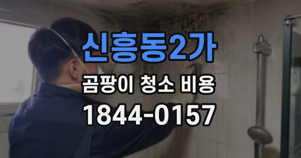 신흥동2가 곰팡이 청소 비용