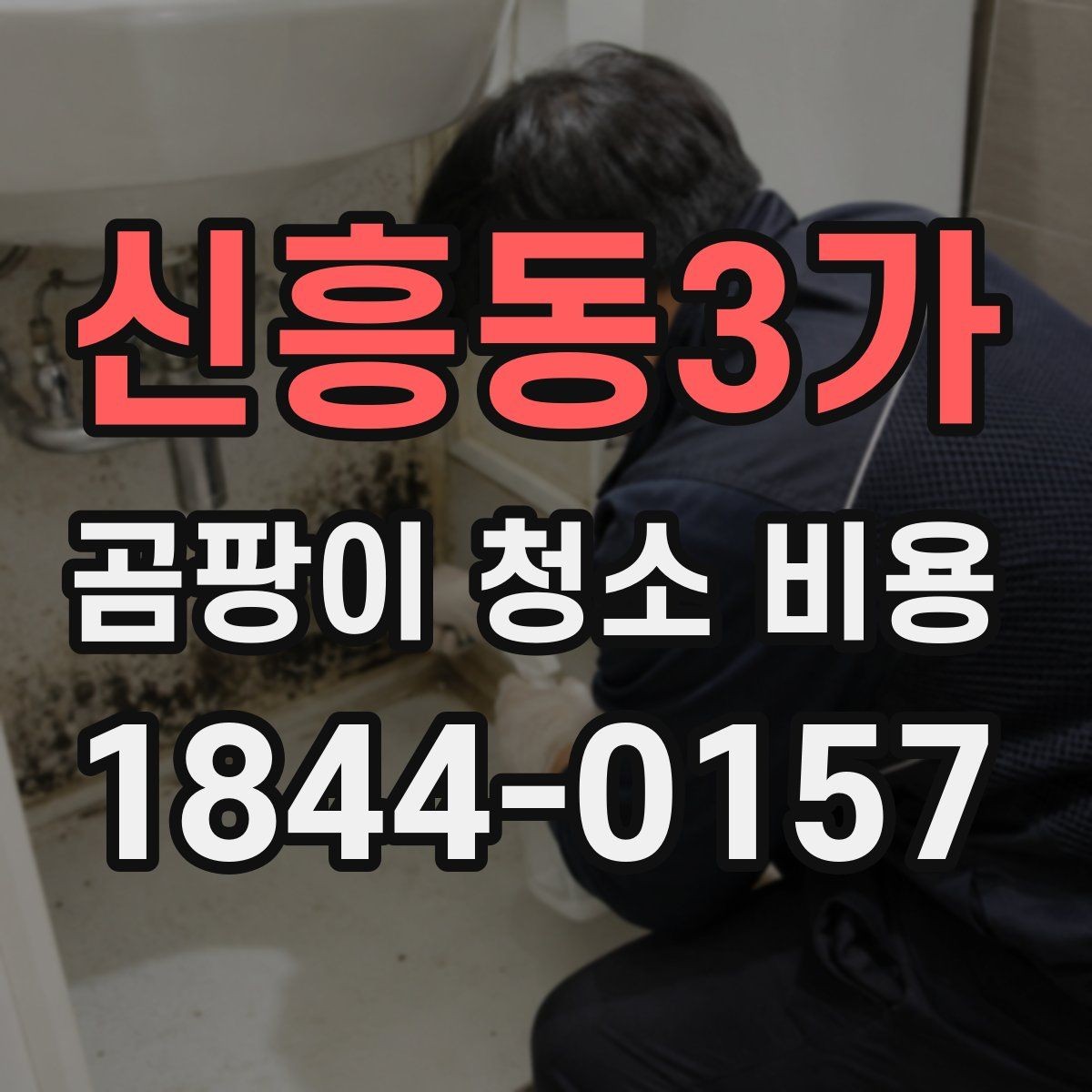 신흥동3가 곰팡이 청소 비용 상담이 필요한 상황은 언제일까