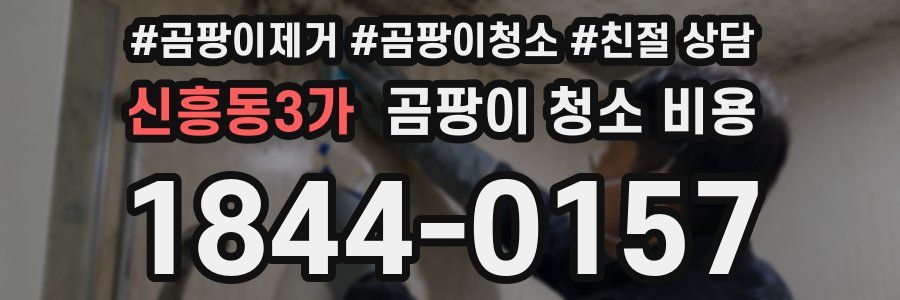 신흥동3가 곰팡이 청소 비용
