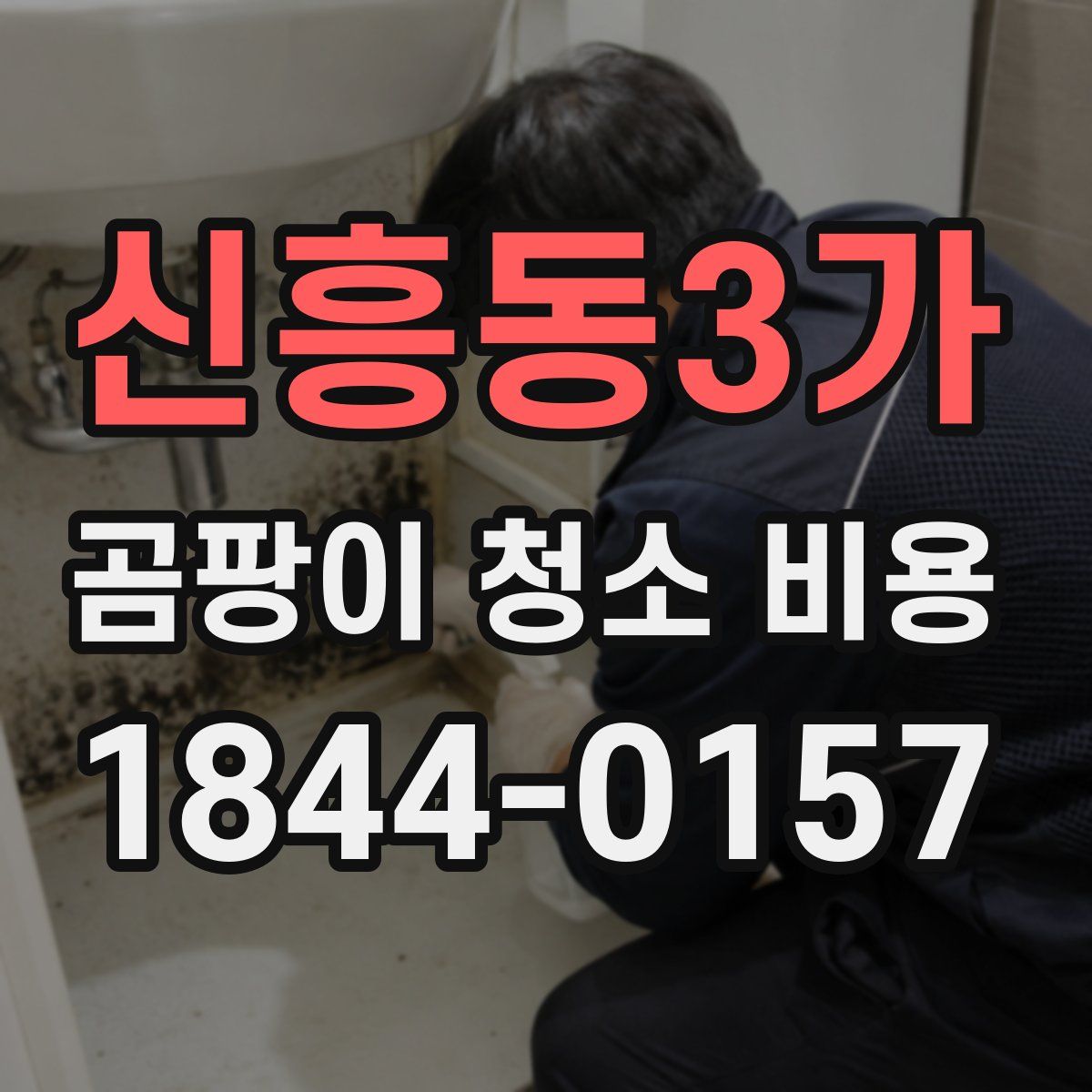 신흥동3가 곰팡이 청소 비용