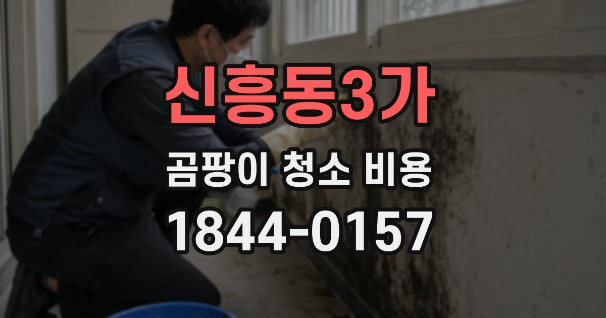 신흥동3가 곰팡이 청소 비용