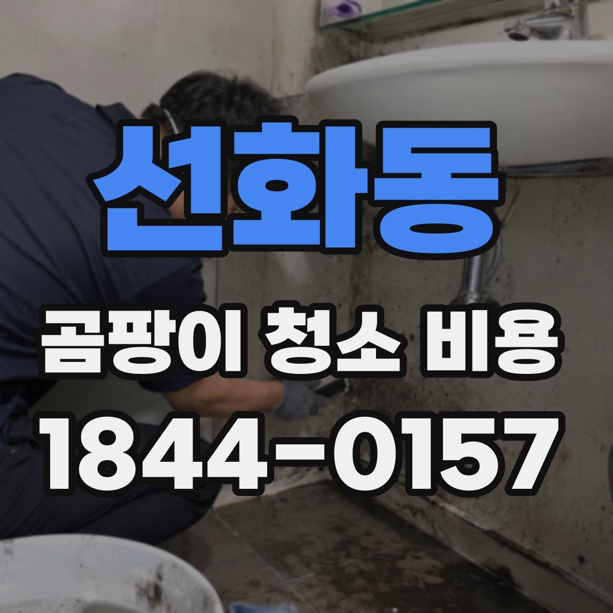 선화동 곰팡이 청소 비용