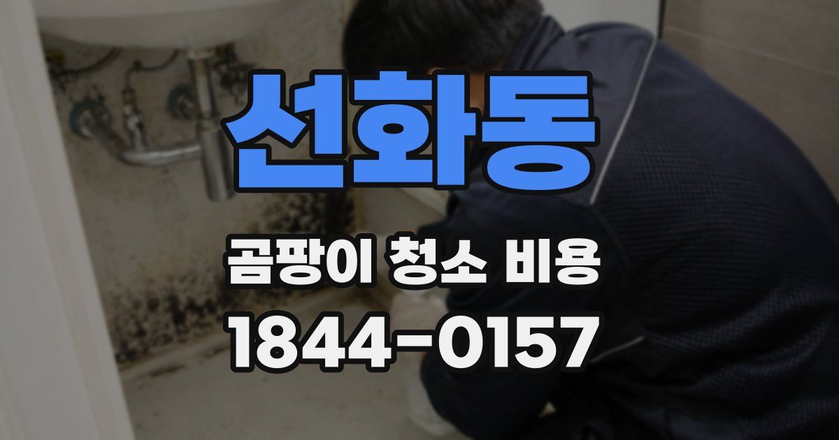 선화동 곰팡이 청소 비용
