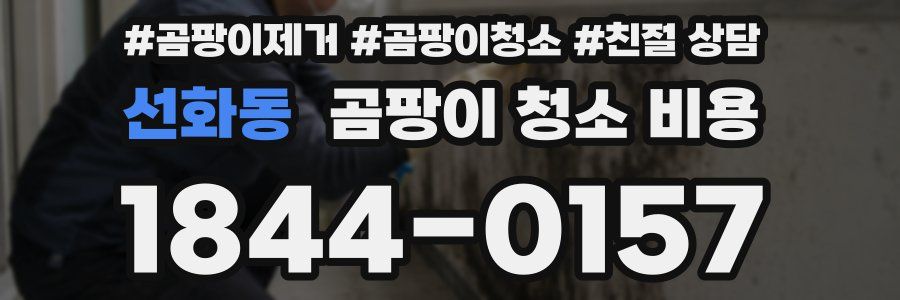 선화동 곰팡이 청소 비용