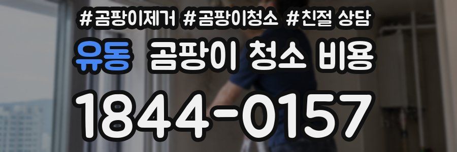 유동 곰팡이 청소 비용