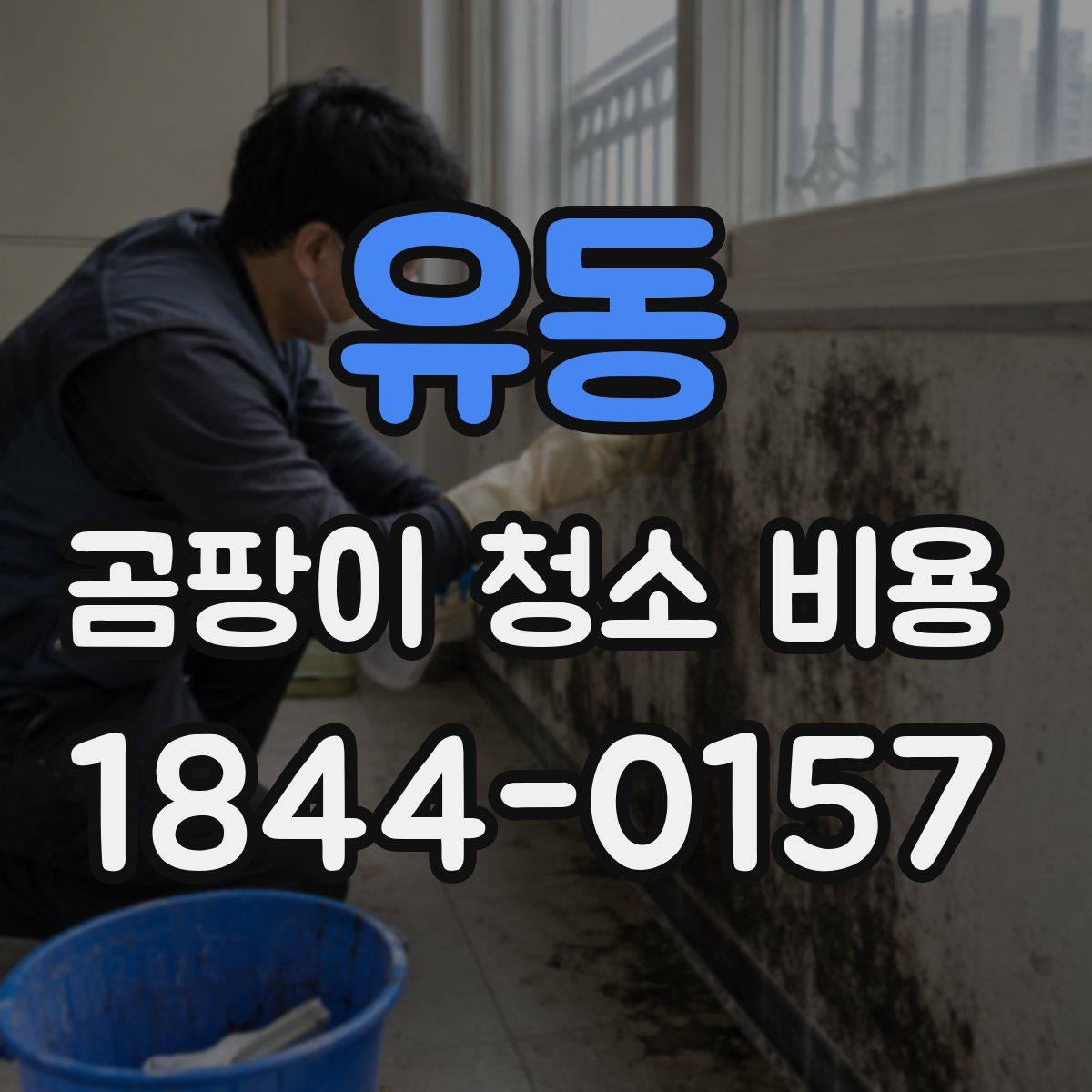 유동 곰팡이 청소 비용