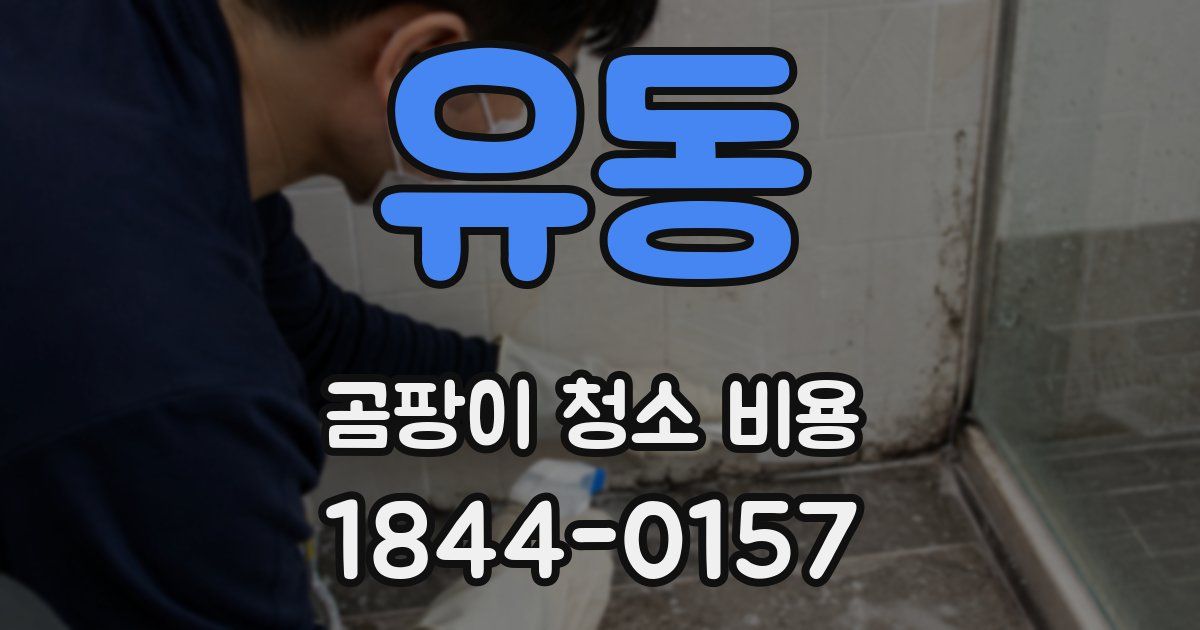 유동 곰팡이 청소 비용