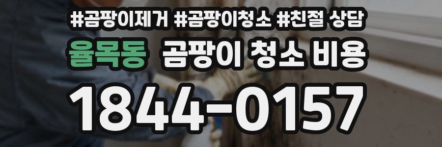 율목동 곰팡이 청소 비용