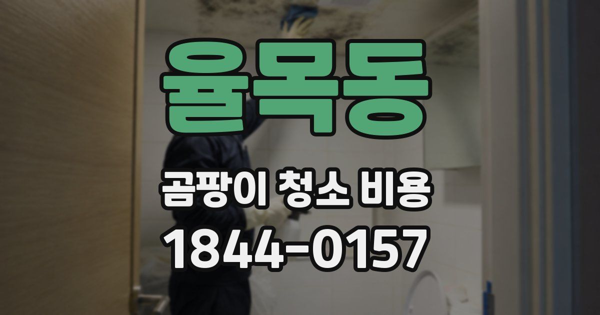 율목동 곰팡이 청소 비용