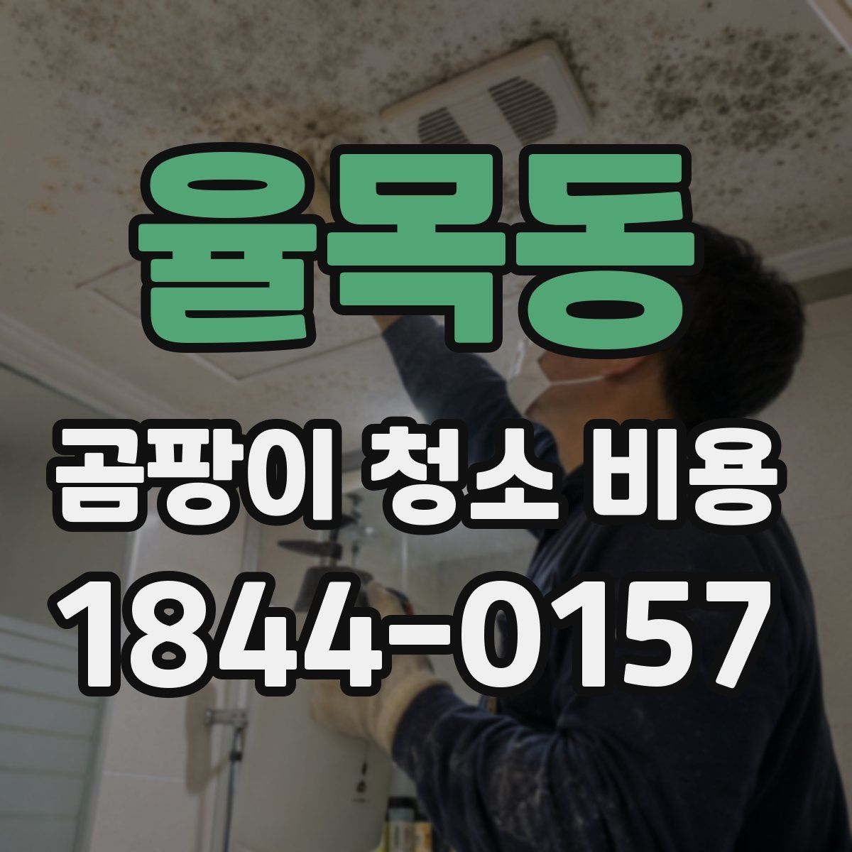 율목동 곰팡이 청소 비용