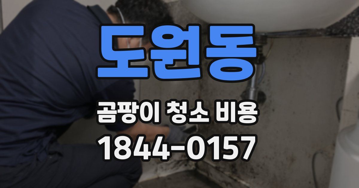 도원동 곰팡이 청소 비용