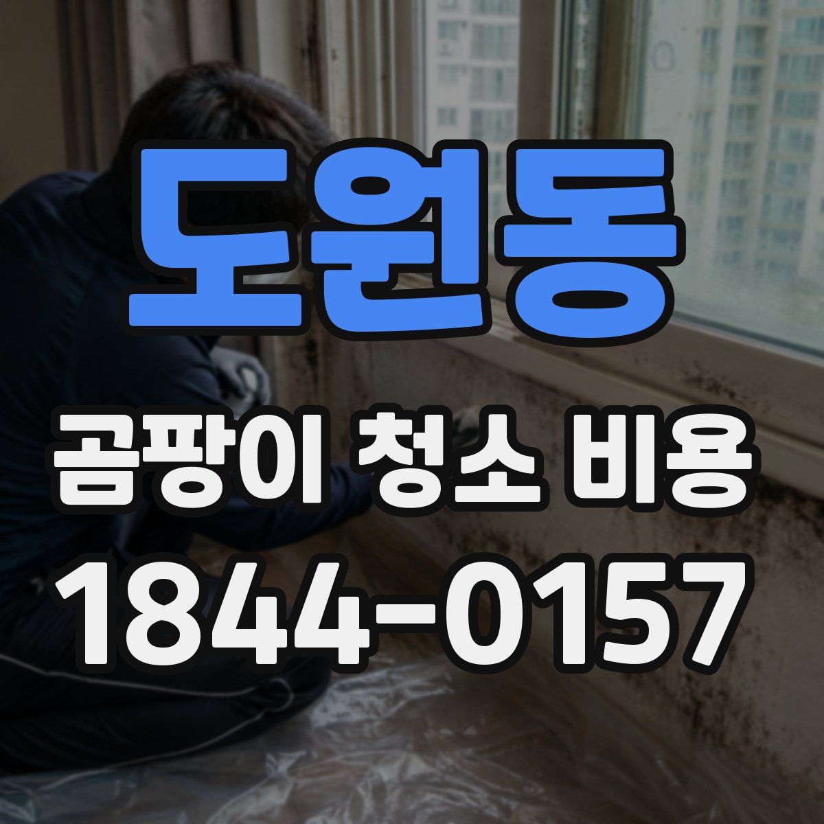 도원동 곰팡이 청소 비용