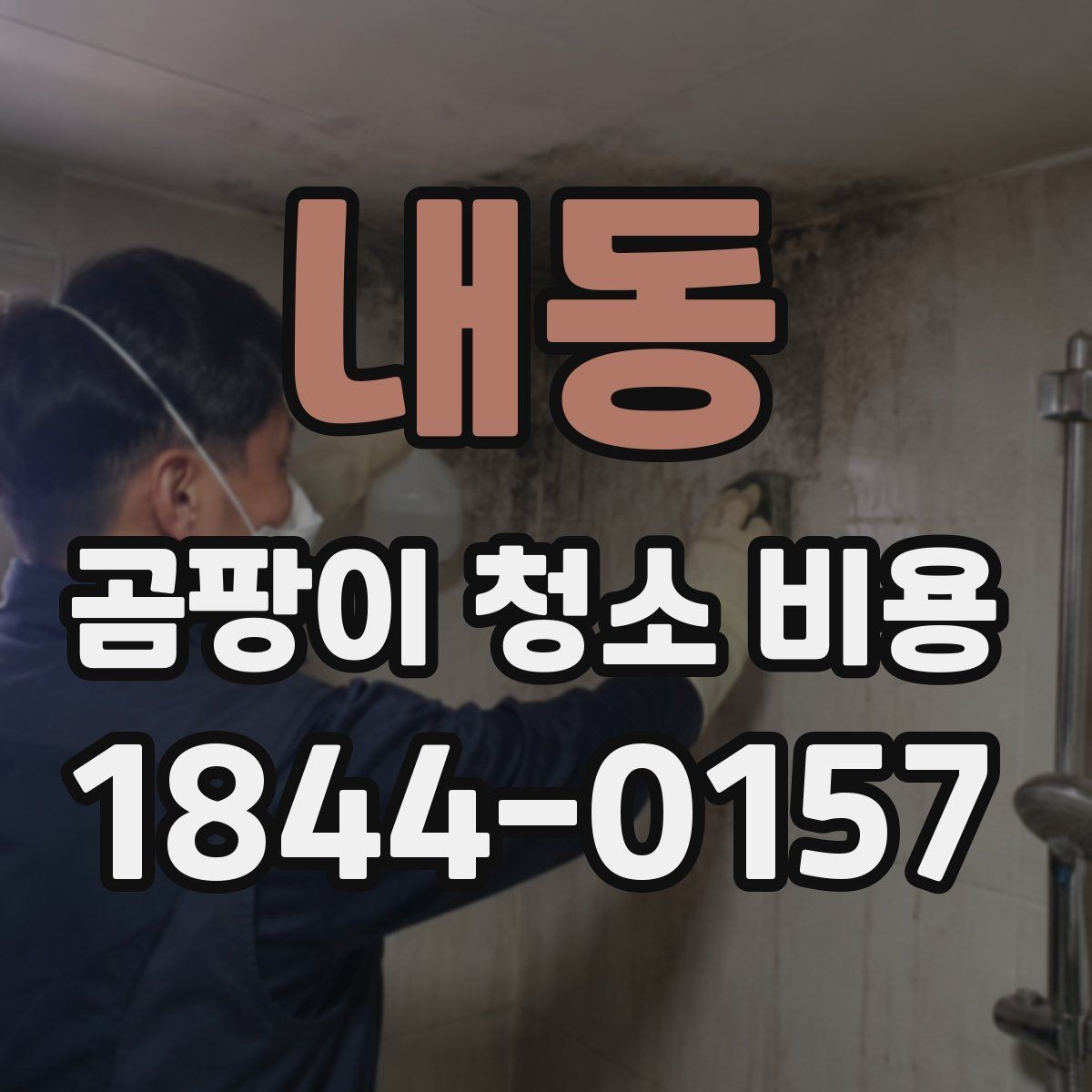 내동 곰팡이 청소 비용 차이가 생기는 원인
