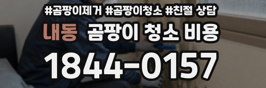 내동 곰팡이 청소 비용
