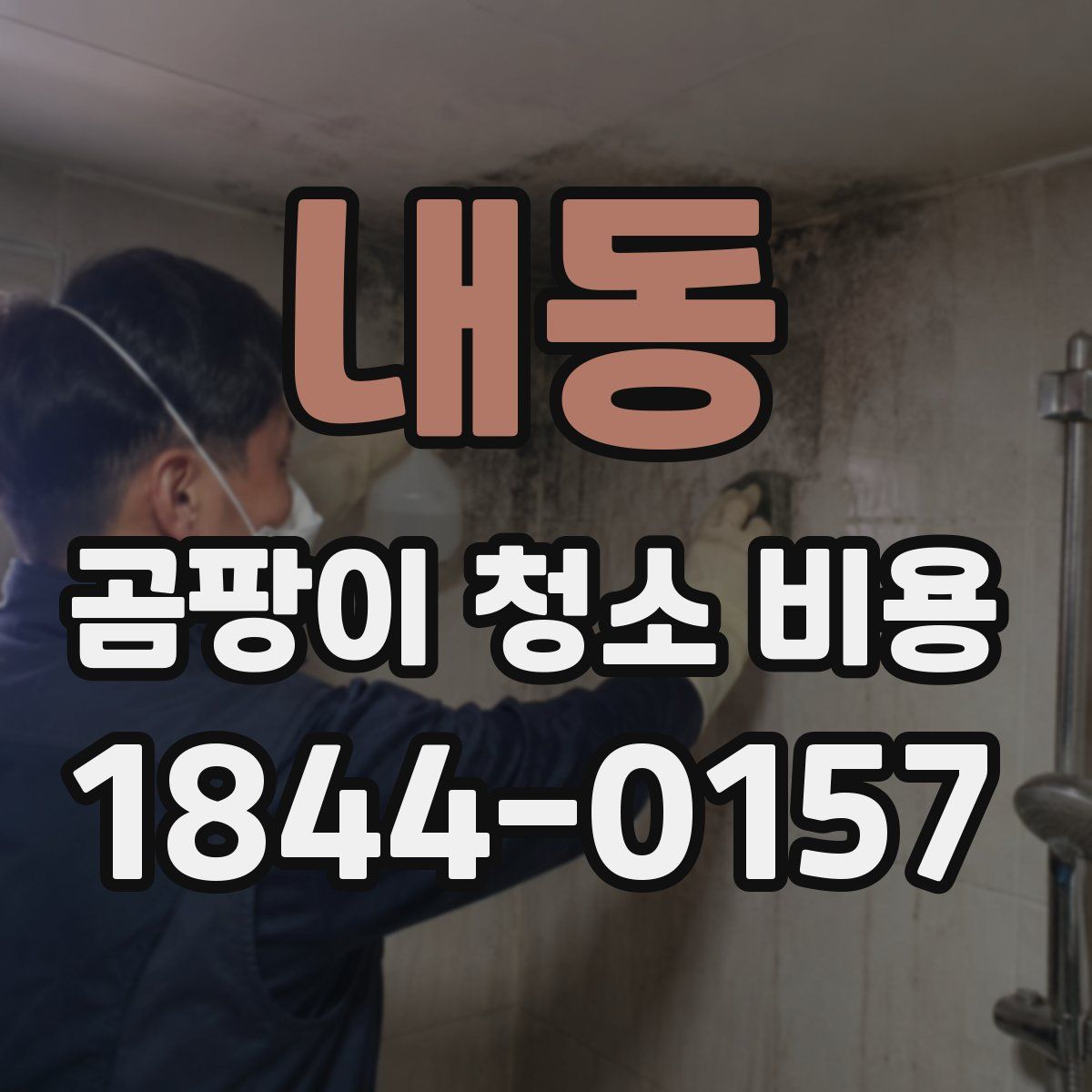 내동 곰팡이 청소 비용