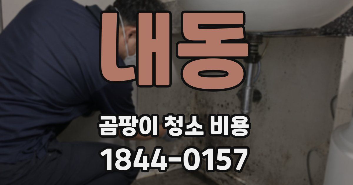 내동 곰팡이 청소 비용