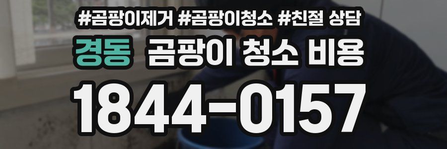 경동 곰팡이 청소 비용