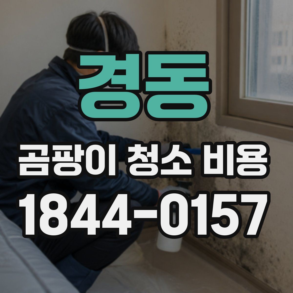 경동 곰팡이 청소 비용