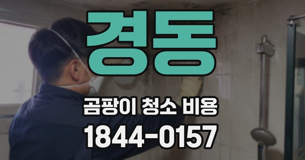 경동 곰팡이 청소 비용