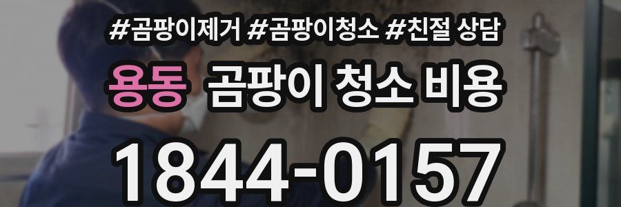 용동 곰팡이 청소 비용